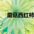 蘑菇西红柿汤的做法（西红柿汤的做法）