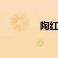陶红婚史（陶红老公是谁）