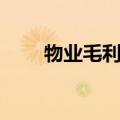 物业毛利润怎么算（毛利润怎么算）