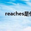reaches是什么意思（reach是什么意思）