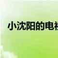 小沈阳的电视剧大全集（小沈阳的电视剧）