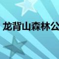 龙背山森林公园塔叫什么（龙背山森林公园）