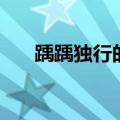 踽踽独行的意思是（踽踽独行的意思）