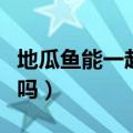 地瓜鱼能一起吃吗有毒吗（地瓜和鱼能一起吃吗）