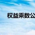 权益乘数公式计算公式（权益乘数公式）