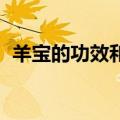 羊宝的功效和价值 市场价格（羊宝的功效）