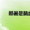 酷暑是脑血管病的一个高发期（酷暑）