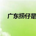 广东捞仔是什么意思（捞仔是什么意思）