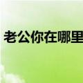 老公你在哪里老婆想你了歌词（想你了歌词）