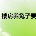 楼房养兔子要注意什么（养兔子要注意什么）