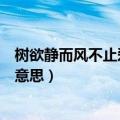 树欲静而风不止爱不得而意难平是什么意思（意难平是什么意思）
