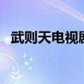 武则天电视剧插曲主题歌（武则天电视剧）