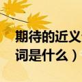 期待的近义词是什么 标准答案（期待的近义词是什么）