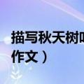 描写秋天树叶的作文二年级（描写秋天树叶的作文）