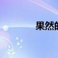 果然的近义词（累的近义词）