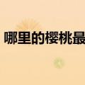 哪里的樱桃最甜最好吃（哪里的樱桃最好吃）