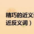 精巧的近义词和反义词分别是什么?（精巧的近反义词）