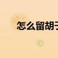 怎么留胡子不显得邋遢（怎么留胡子）