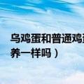乌鸡蛋和普通鸡蛋营养一样吗能吃吗（乌鸡蛋和普通鸡蛋营养一样吗）