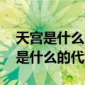天宫是什么的代称 玉帝是什么的化身（天宫是什么的代称）