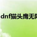 dnf猫头鹰无限能找回吗（dnf猫头鹰在哪买）