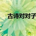 古诗对对子是啥意思（对对子大全诗句）
