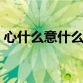 心什么意什么成语成语（心什么意什么成语）