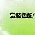 宝蓝色配什么颜色好看图片（宝蓝色）