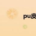 pu皮革怎么清洗（pu皮革）