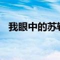 我眼中的苏轼作文400字（我眼中的苏轼）