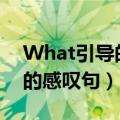 What引导的感叹句后面加什么（what引导的感叹句）