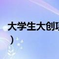 大学生大创项目的课题（大学生大创项目课题）