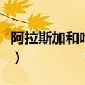 阿拉斯加和哈士奇的串串（阿拉斯加和哈士奇）