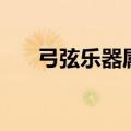 弓弦乐器属于西洋乐器吗（弓弦乐器）