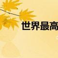 世界最高蹦极挑战（世界最高蹦极）