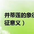 并蒂莲的象征意义是什么莲理枝（并蒂莲的象征意义）