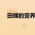 田螺的营养价值高吗（田螺的营养价值）