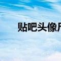 贴吧头像尺寸是多少（贴吧头像尺寸）