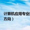 计算机应用专业就业方向和前景分析（计算机应用专业就业方向）