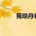 苑琼丹老公的照片（苑琼丹老公）