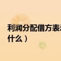 利润分配借方表示什么贷方表示什么（利润分配在借方表示什么）