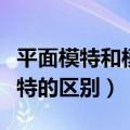 平面模特和模特的区别是什么（平面模特和模特的区别）