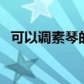 可以调素琴的以的用法（可以调素琴的以）
