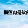 榴莲肉是软的嘛（榴莲肉是软的还是硬的）
