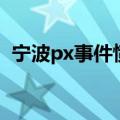 宁波px事件愤怒的脸（宁波px事件是什么）