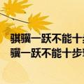 骐骥一跃不能十步驽马十驾功在不舍告诉我们什么道理（骐骥一跃不能十步驽马十驾功在不舍）