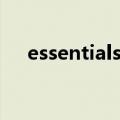 essentials属于什么档次（essentials）