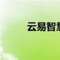 云易智慧（云易汇智能交易系统）