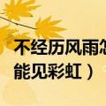 不经历风雨怎能见彩虹的事例（不经历风雨怎能见彩虹）