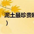 泥土最珍贵欧洲人的意图是什么（泥土最珍贵）